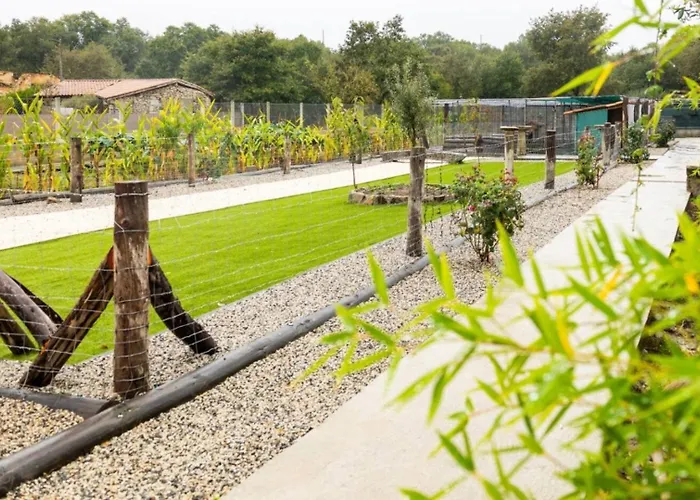 Yourhouse Casa Canastro Hébergement de vacances *